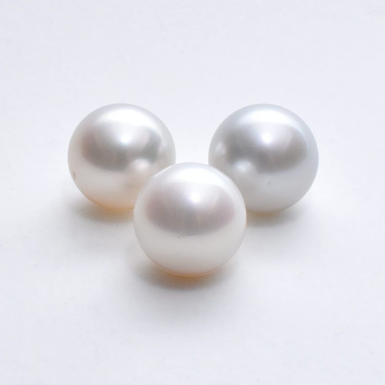 South Sea Pearls White lip