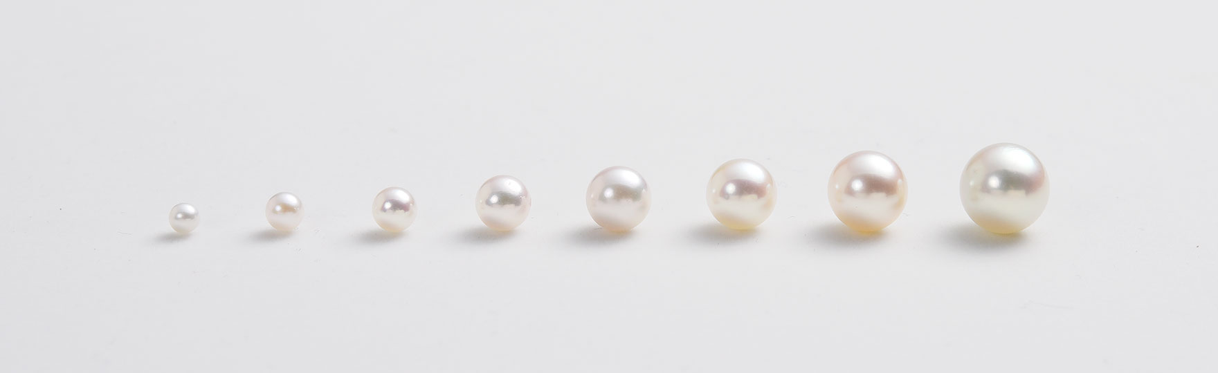 アコヤ真珠