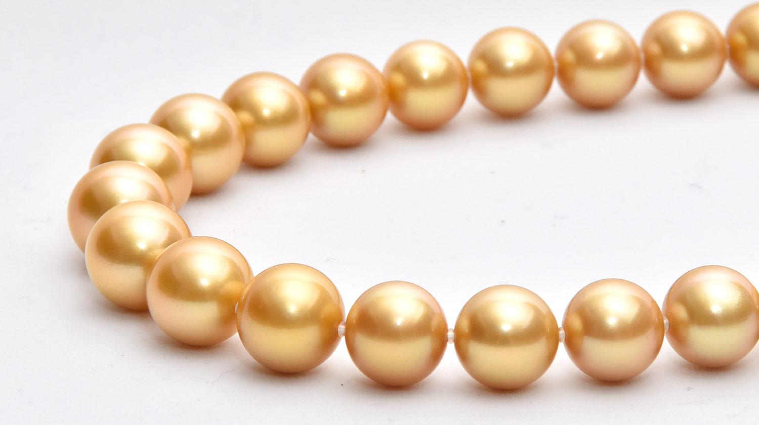 白蝶真珠ゴールド - 真珠の種類| PEARL SEIWA - 東京上野御徒町の真珠 