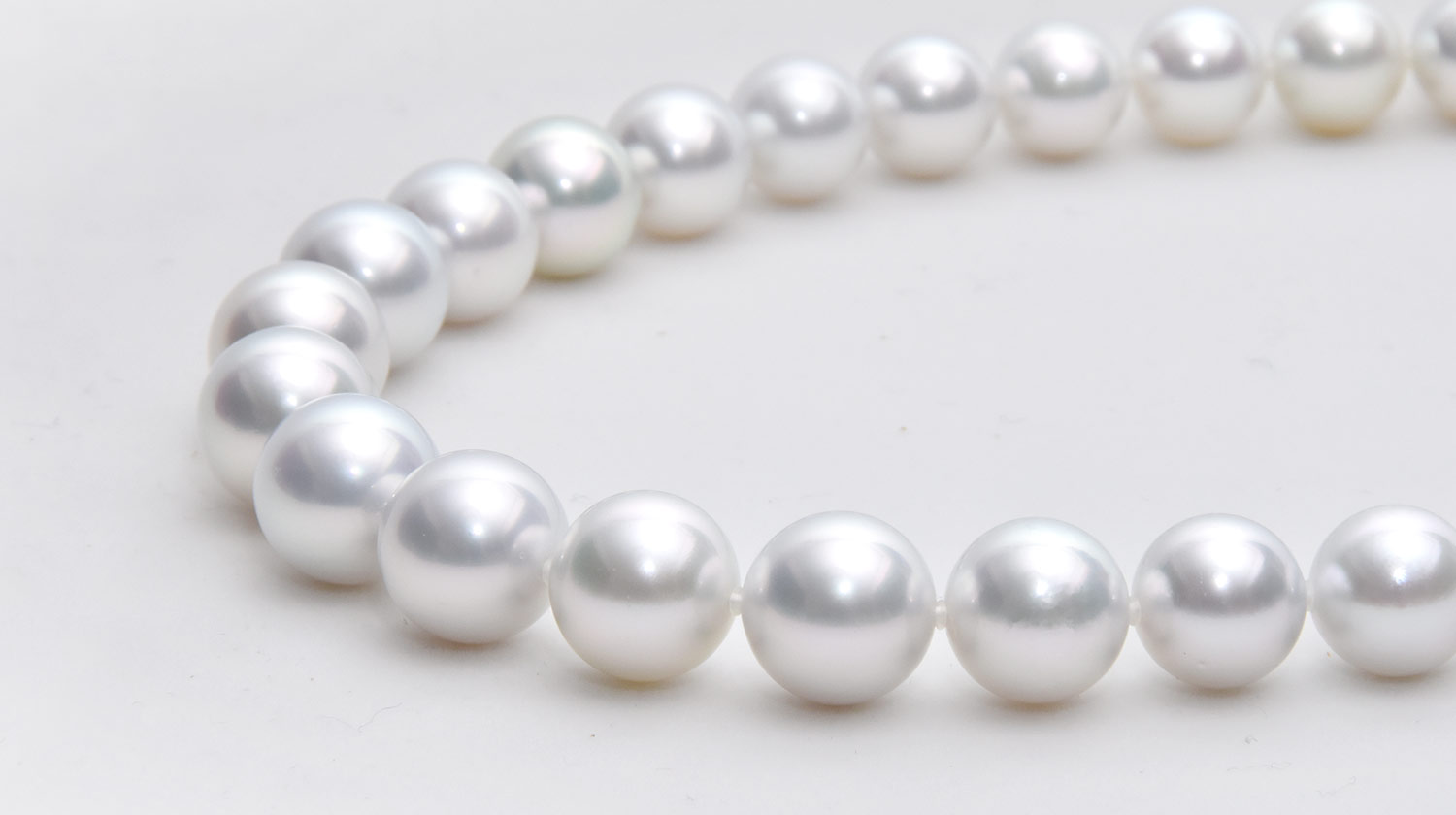 白蝶真珠ホワイト - 真珠の種類| PEARL SEIWA - 東京上野御徒町の真珠 